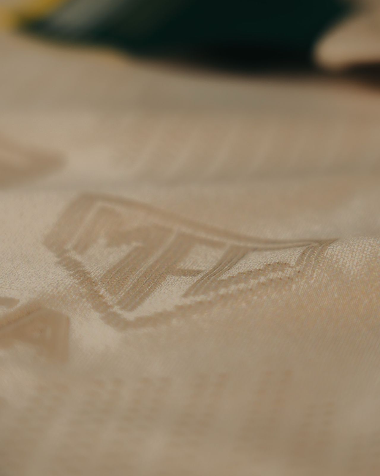 foto_deni_araujo (8)